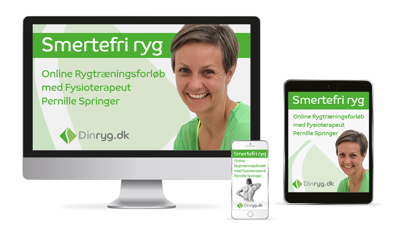 Smertefri ryg online forløb